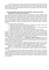 Vadybos pagrindai detaliai 5 puslapis