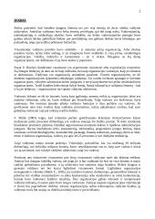 Vadybos pradmenys 2 puslapis