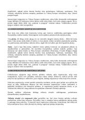 Vadybos pradmenys 11 puslapis