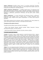 Vadybos pradmenys 12 puslapis