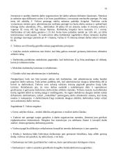 Vadybos pradmenys 16 puslapis