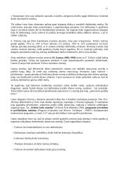 Vadybos pradmenys 17 puslapis