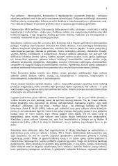 Vadybos pradmenys 3 puslapis