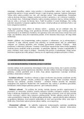 Vadybos pradmenys 4 puslapis