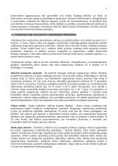 Vadybos pradmenys 5 puslapis