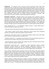 Vadybos pradmenys 6 puslapis