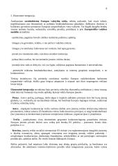 Vadybos pradmenys 8 puslapis