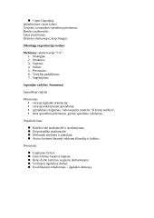 Vadybos mokyklos 2 puslapis