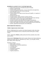 Vadybos mokyklos 7 puslapis