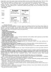 Valdymo procesas. Vadybos teorijos 11 puslapis