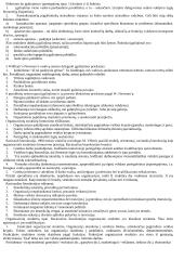 Valdymo procesas. Vadybos teorijos 12 puslapis