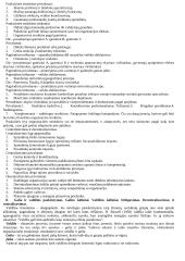 Valdymo procesas. Vadybos teorijos 13 puslapis