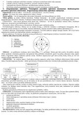 Valdymo procesas. Vadybos teorijos 3 puslapis