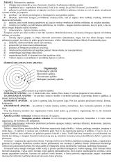 Valdymo procesas. Vadybos teorijos 4 puslapis