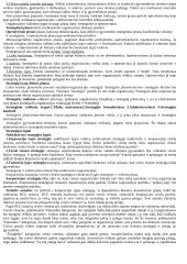 Valdymo procesas. Vadybos teorijos 10 puslapis