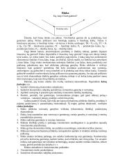 Valstybės sektorius ir rinkos ekonomika 6 puslapis