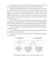 Verslo rizika žemės ūkyje 11 puslapis