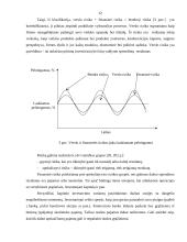 Verslo rizika žemės ūkyje 12 puslapis