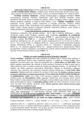 Verslo vertinimas 2 puslapis