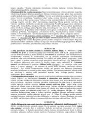 Verslo vertinimas 11 puslapis