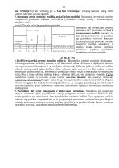 Verslo vertinimas 12 puslapis