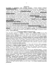 Verslo vertinimas 3 puslapis