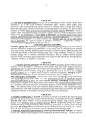 Verslo vertinimas 4 puslapis