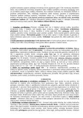 Verslo vertinimas 5 puslapis