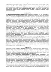 Verslo vertinimas 6 puslapis