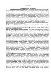 Verslo vertinimas 9 puslapis