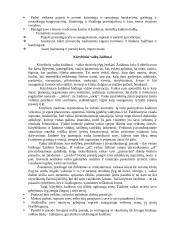 Žaidimas - vaikų gyvenimo būdas ir pagrindinė veikla 2 puslapis