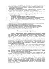 Žaidimas - vaikų gyvenimo būdas ir pagrindinė veikla 3 puslapis