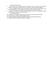 Žaidimas - vaikų gyvenimo būdas ir pagrindinė veikla 4 puslapis