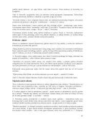 Gyvenamasis namas "Kaštonas" 15 puslapis