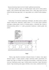 Gyvenamasis namas "Kaštonas" 5 puslapis