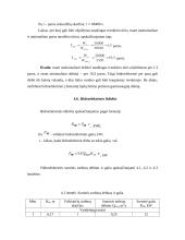 Hidroelektrinės projektavimas 13 puslapis