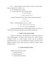 Hidroelektrinės projektavimas 6 puslapis