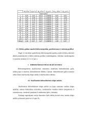 Hidroelektrinės projektavimas 9 puslapis