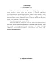 Individualus gyvenamasis namas su garažu 11 puslapis