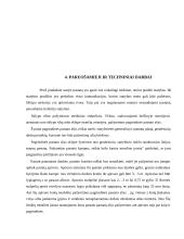 Individualus gyvenamasis namas su garažu 13 puslapis