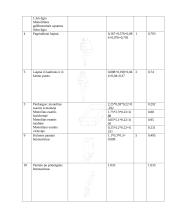 Individualus gyvenamasis namas su garažu 17 puslapis