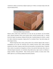 Individualus gyvenamasis namas su garažu 5 puslapis