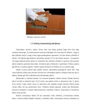 Individualus gyvenamasis namas su garažu 7 puslapis