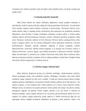 Individualus gyvenamasis namas su garažu 8 puslapis