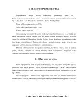 Individualus gyvenamasis namas su garažu 10 puslapis