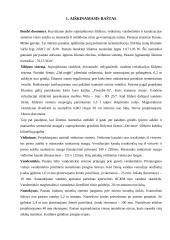 Inžinerinės sistemos 2 puslapis