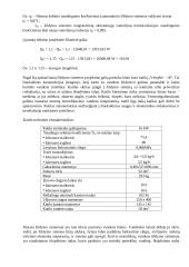 Inžinerinės sistemos 11 puslapis