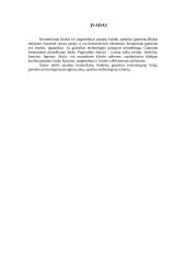 Keraminių blokelių gamybos technologija 2 puslapis