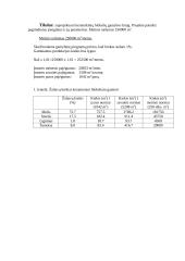 Keraminių blokelių gamybos technologija 3 puslapis