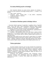 Keraminių blokelių gamybos technologija 4 puslapis